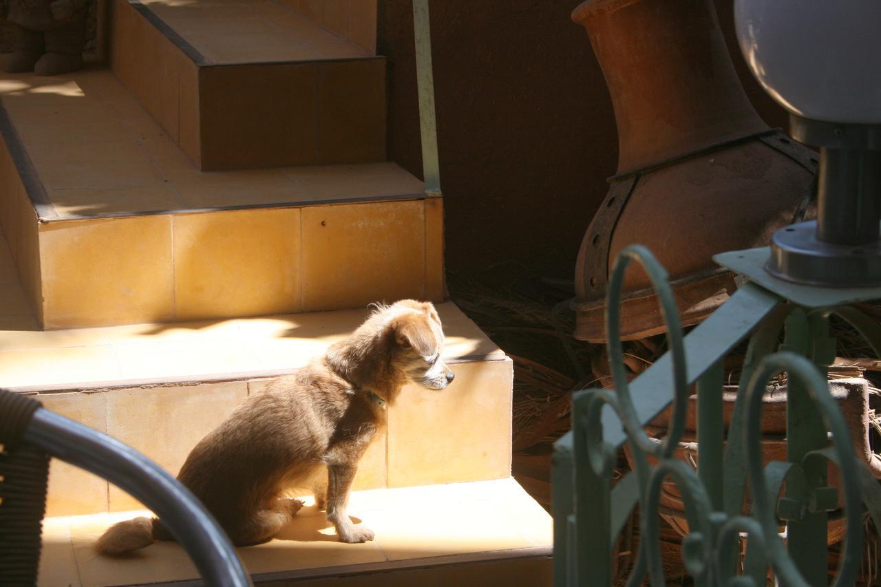 Le Temps De Vivre Bed and Breakfast Ouarzazate Esterno foto